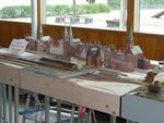 P1010699-k.jpg
