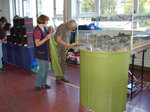 Goeppingen004.jpg