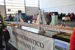 DSC_7786.jpg