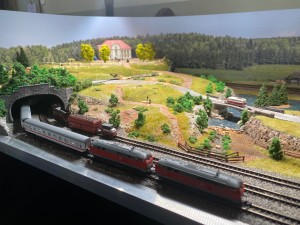 IMG_9410.jpeg