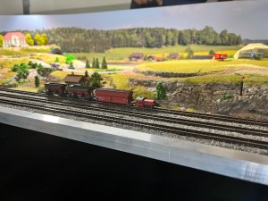IMG_1081.jpeg