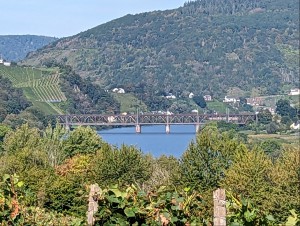 PXL_20230916_085932265.jpg