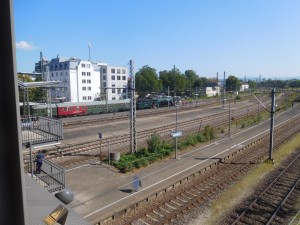 DSCN8890.JPG