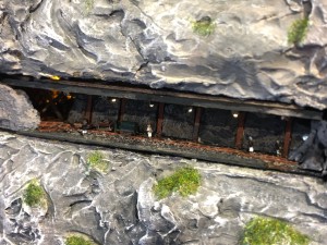 IMG_5650.jpeg