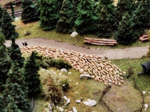 IMG_20231104_120632.jpg (1.38 MiB) 934 mal betrachtet Viele Schafe