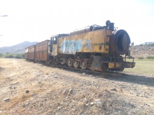 DSC_3379.JPG