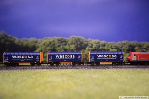 BR185+wascosa_2.jpg