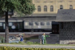 comp_IMG_3084.jpg