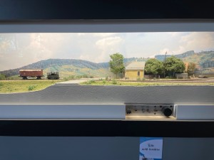 IMG_5250.jpeg
