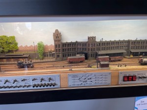 IMG_5252.jpeg