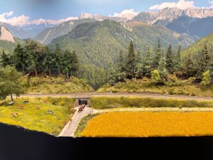 IMG_5254.jpeg