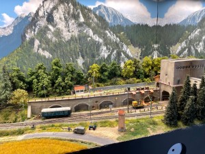 IMG_5253.jpeg