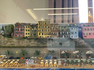 IMG_5308.jpeg