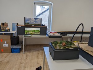 PXL_20240526_074433927.jpg