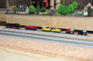 DSC_4657.JPG