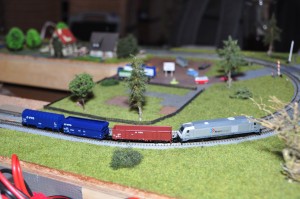 DSC_4690.JPG
