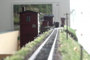 IMG-20240526-WA0010.jpg