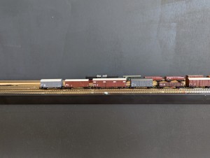 PXL_20240624_155604171.jpg