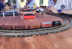 IMG_20240629_151245.jpg