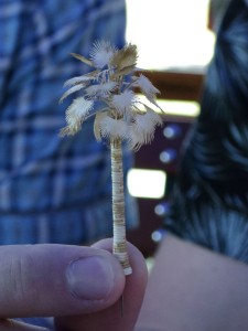 comp_IMG_0541.jpg