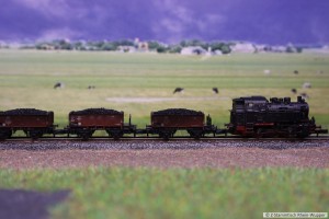 BR80_Kohle_2.jpg