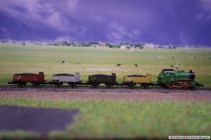 BR89_8138.jpg