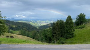 IMG_8962.JPG
