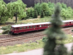PXL_20240719_122720115.jpg