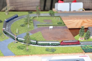 DSC_4730.JPG
