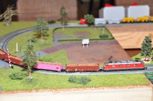 DSC_4741.JPG