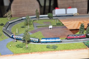 DSC_4734.JPG