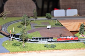DSC_4747.JPG