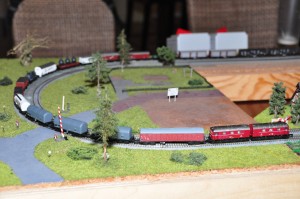 DSC_4751.JPG