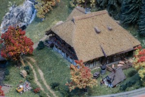 comp_IMG_3343.jpg