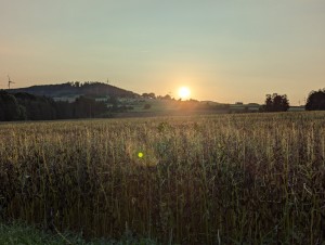 PXL_20240826_174438266.jpg