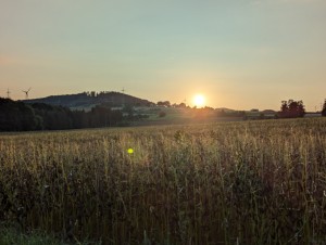 PXL_20240826_174446530.jpg