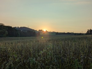 PXL_20240826_174700641.jpg