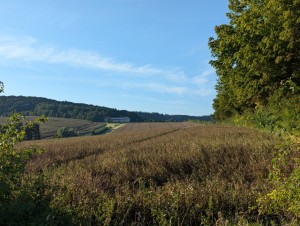 PXL_20240827_165538299.jpg