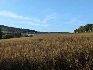PXL_20240827_165406556.jpg