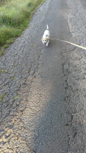 IMG-20240827-WA0021.jpeg