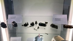 IMG_8094.jpg