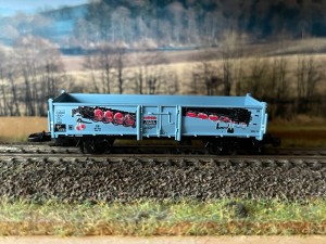 IMG_6071.jpeg