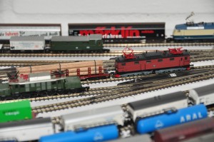 DSC_4781.JPG