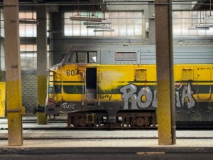 IMG_5410.jpeg