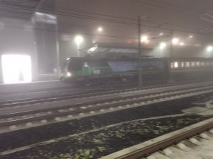 IMG_20241026_223959.jpg