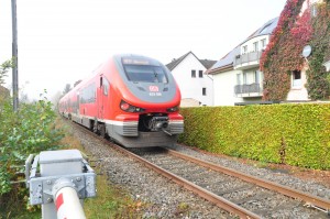 DSC_4915.JPG