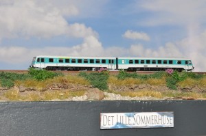DSC_4929.JPG