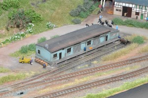 DSC_4958.JPG