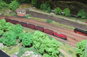 DSC_4945.JPG