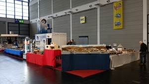 IMG_20241101_084318_206.jpg